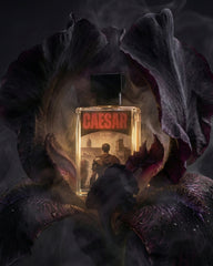 CAESAR - An Impression of Black Orchid by Tom Ford