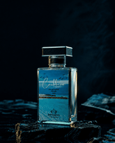 CARIBBEAN-Inspired by Aventus Creed